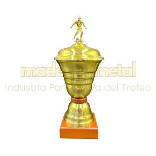 Imagen de Copa de metal con tapa - M5.1030